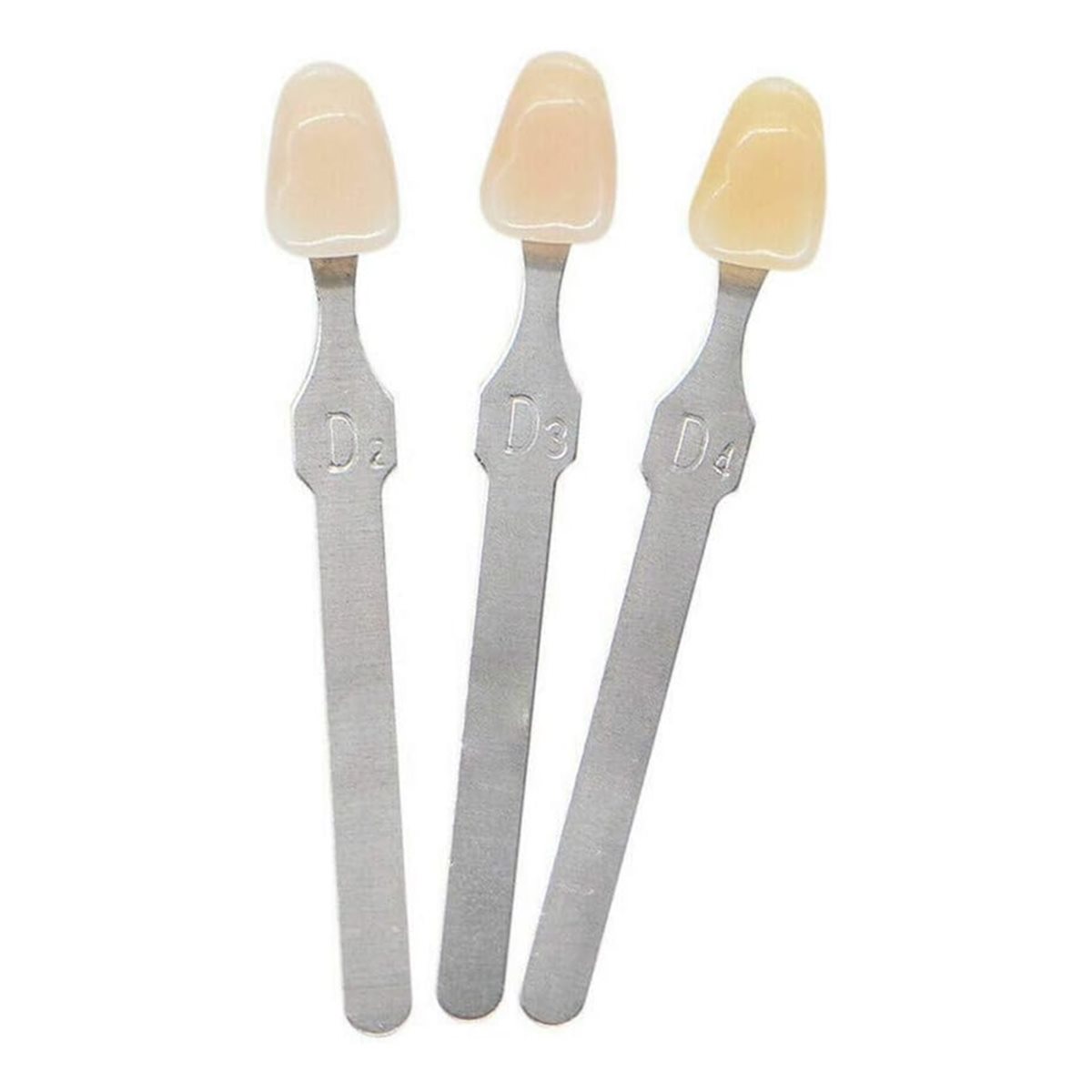 Teeth Whitening Shade Guide - [N84R] Guía de Tonos 3D para