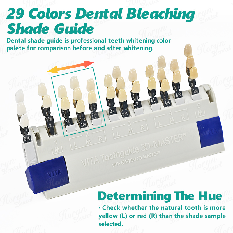Guía de Colores Vita 3D Master - Teeth Whitening Shade Guide reseña y precio